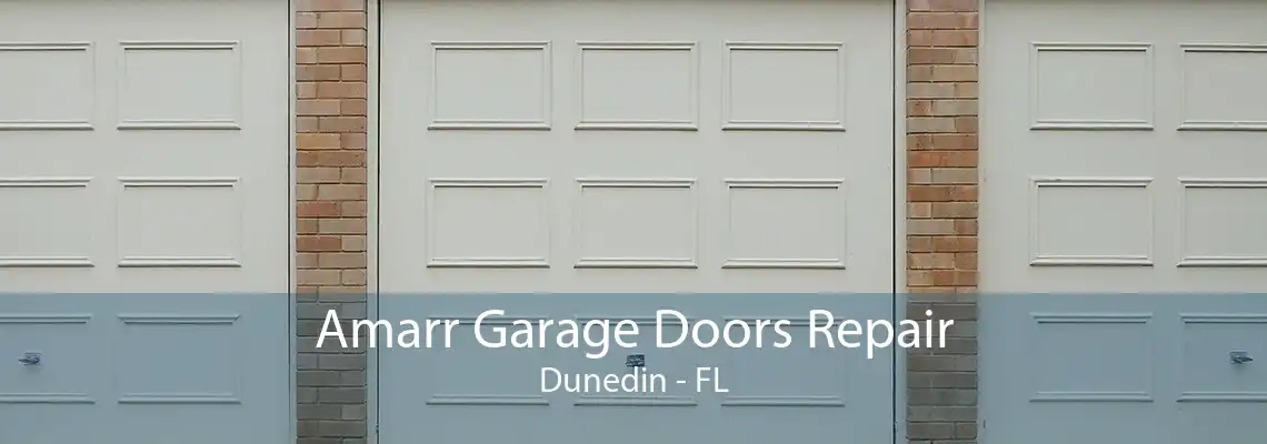 Amarr Garage Doors Repair Dunedin - FL