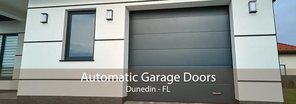 Automatic Garage Doors Dunedin - FL