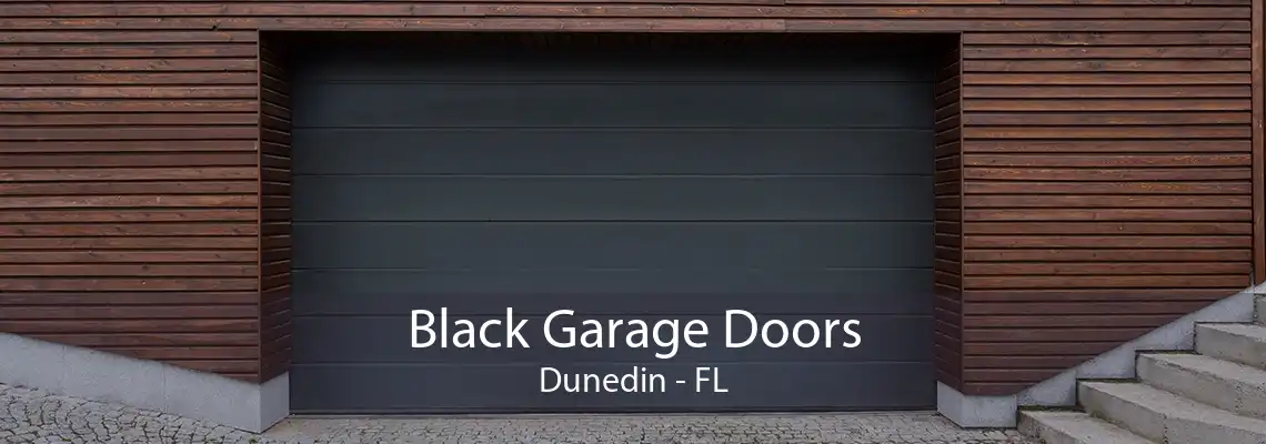 Black Garage Doors Dunedin - FL