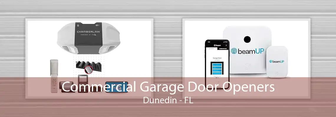 Commercial Garage Door Openers Dunedin - FL