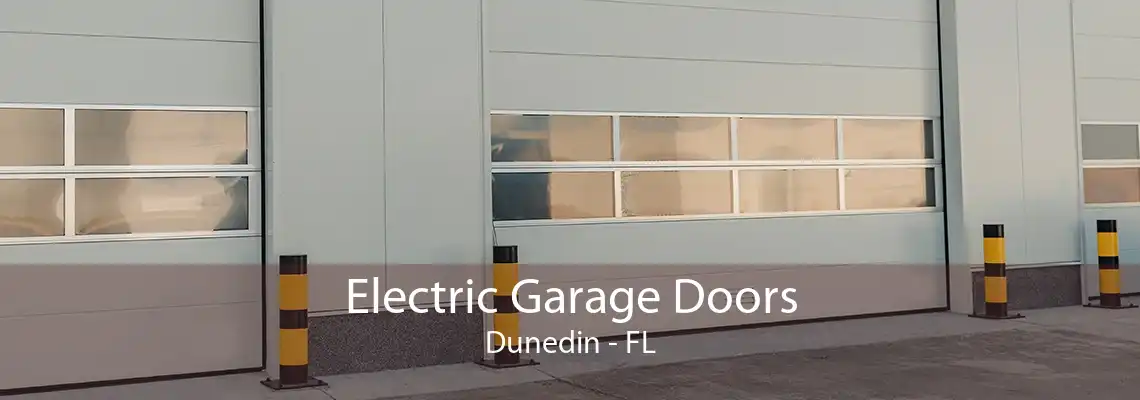 Electric Garage Doors Dunedin - FL