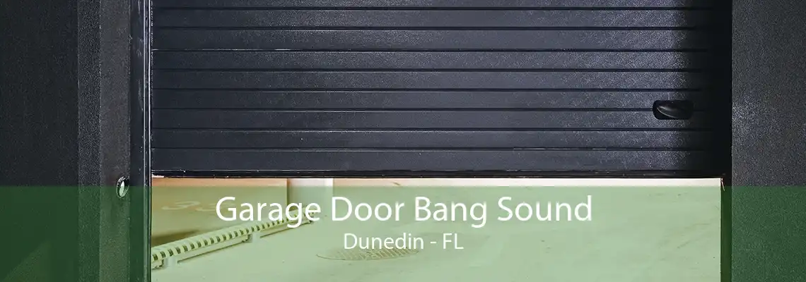 Garage Door Bang Sound Dunedin - FL