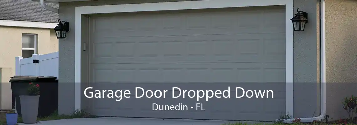 Garage Door Dropped Down Dunedin - FL