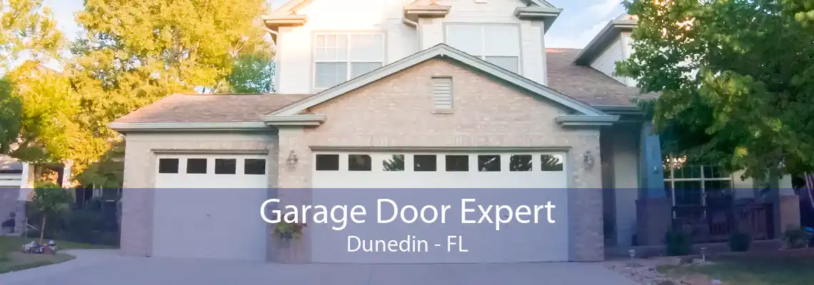 Garage Door Expert Dunedin - FL