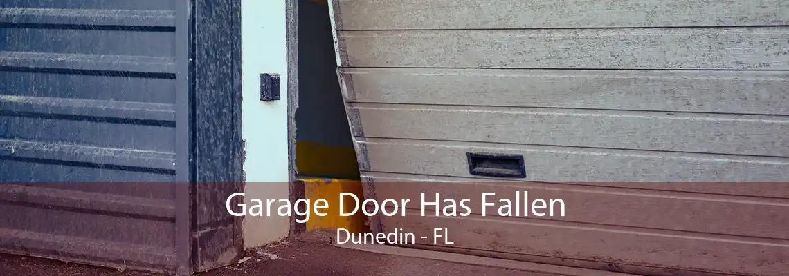 Garage Door Has Fallen Dunedin - FL