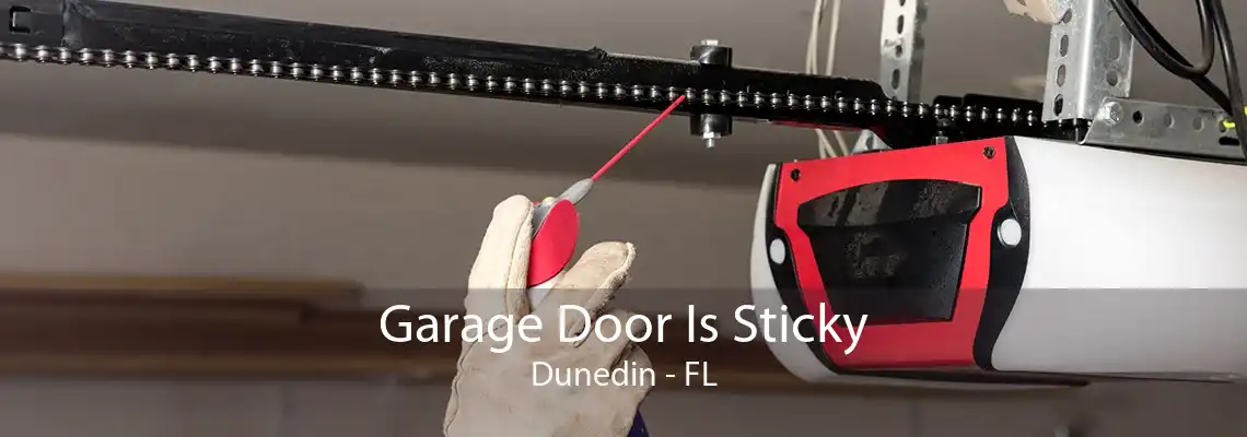 Garage Door Is Sticky Dunedin - FL