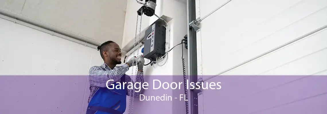 Garage Door Issues Dunedin - FL