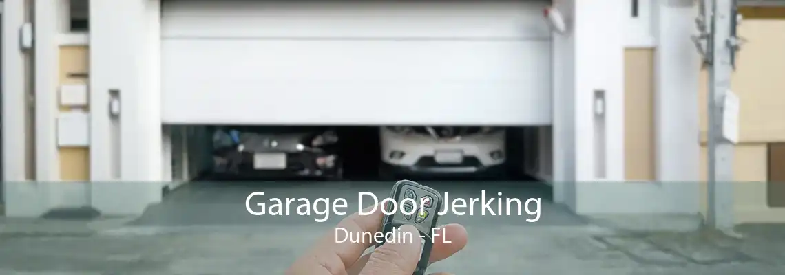 Garage Door Jerking Dunedin - FL