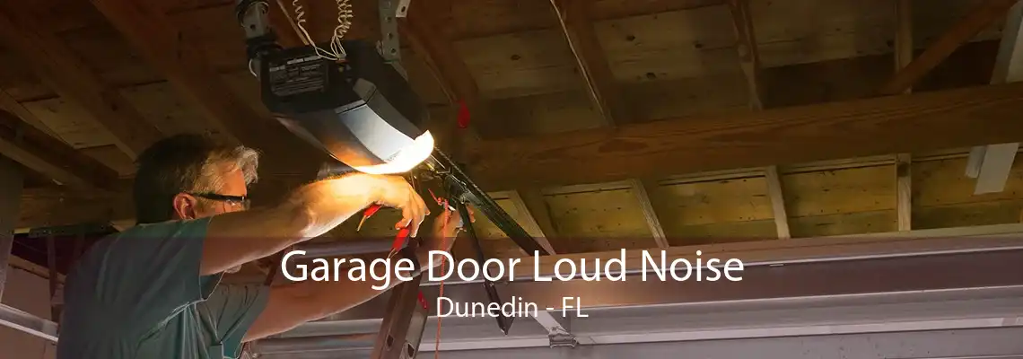 Garage Door Loud Noise Dunedin - FL