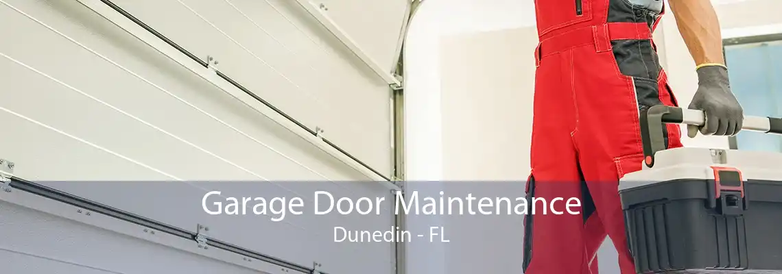 Garage Door Maintenance Dunedin - FL