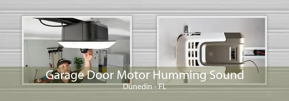 Garage Door Motor Humming Sound Dunedin - FL