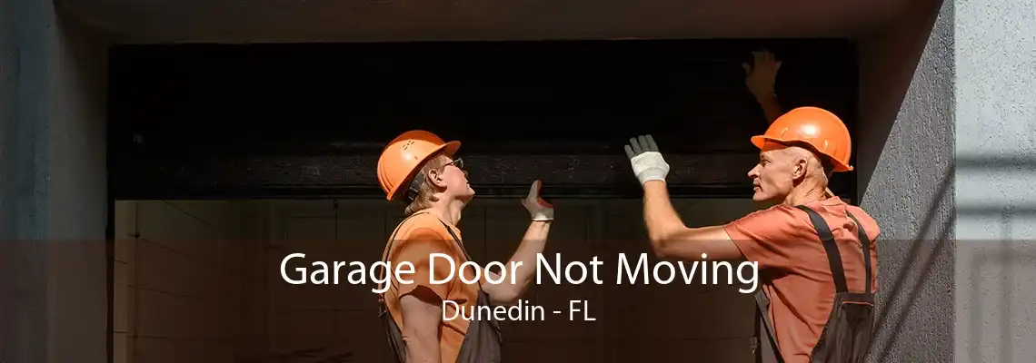 Garage Door Not Moving Dunedin - FL