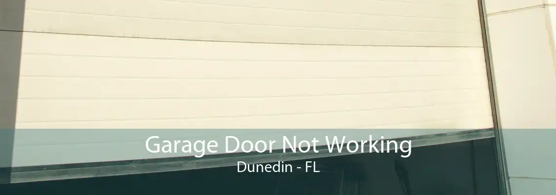 Garage Door Not Working Dunedin - FL