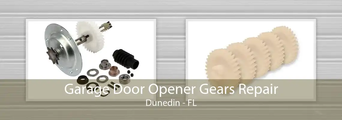 Garage Door Opener Gears Repair Dunedin - FL