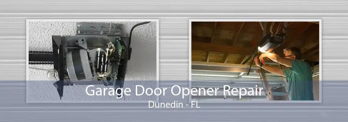 Garage Door Opener Repair Dunedin - FL