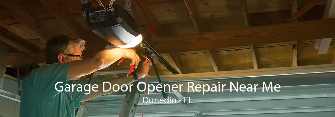 Garage Door Opener Repair Near Me Dunedin - FL