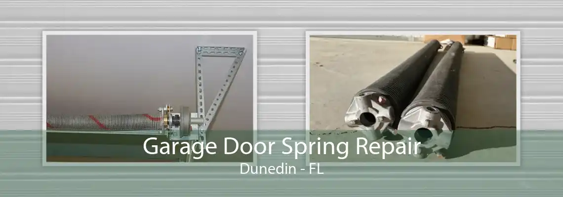 Garage Door Spring Repair Dunedin - FL