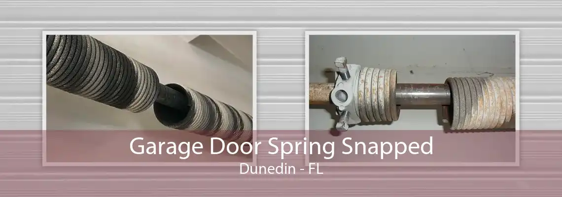 Garage Door Spring Snapped Dunedin - FL