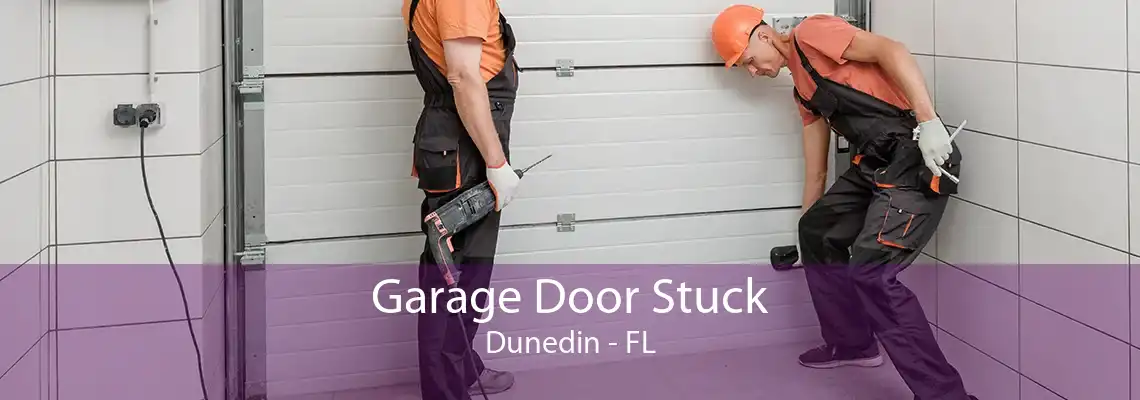 Garage Door Stuck Dunedin - FL