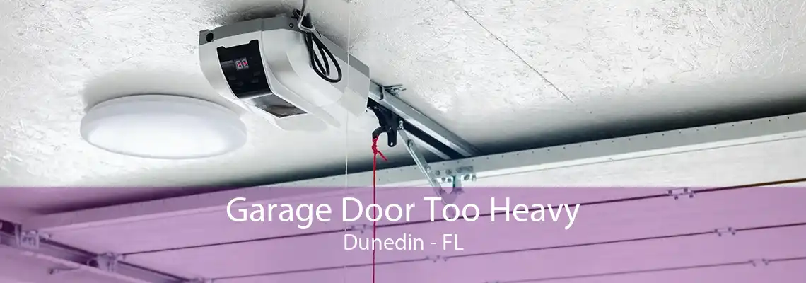 Garage Door Too Heavy Dunedin - FL