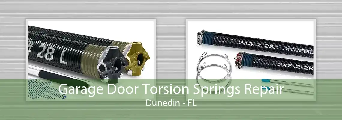 Garage Door Torsion Springs Repair Dunedin - FL