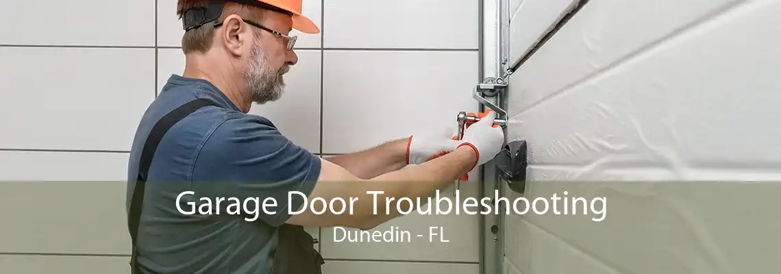 Garage Door Troubleshooting Dunedin - FL