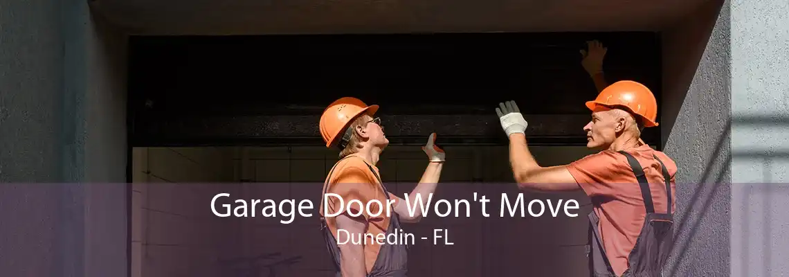 Garage Door Won't Move Dunedin - FL