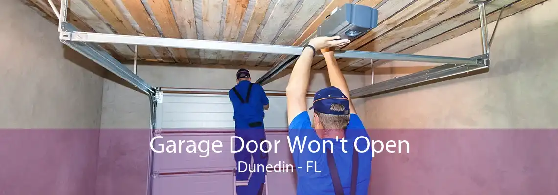 Garage Door Won't Open Dunedin - FL