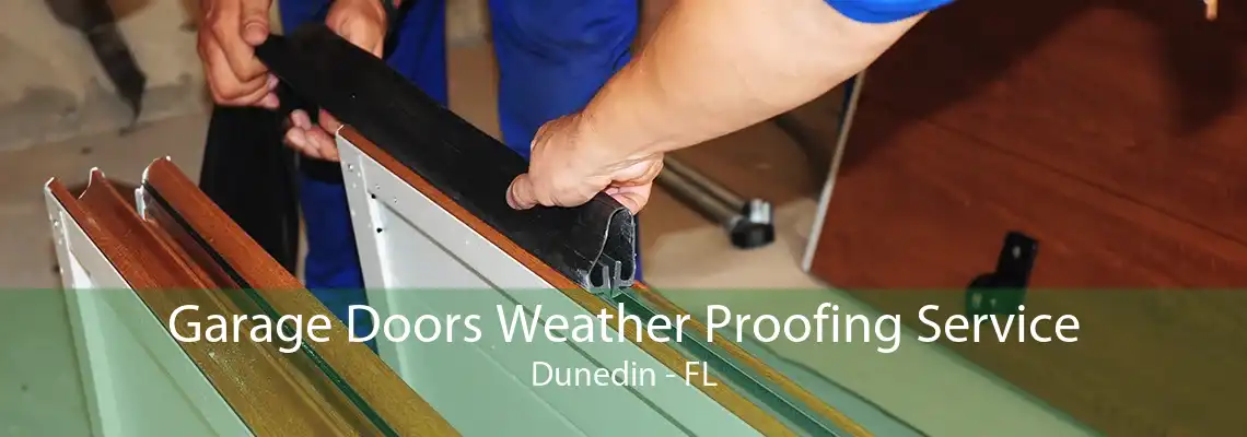 Garage Doors Weather Proofing Service Dunedin - FL