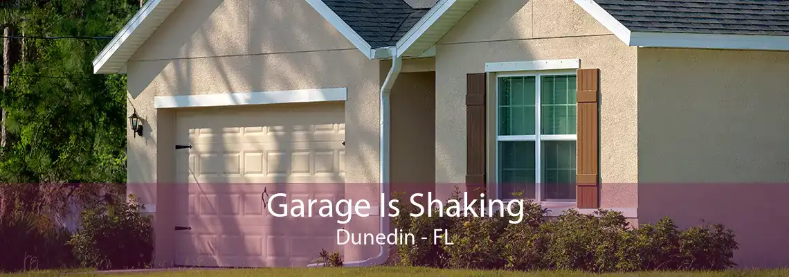 Garage Is Shaking Dunedin - FL