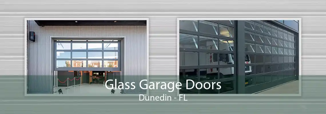 Glass Garage Doors Dunedin - FL