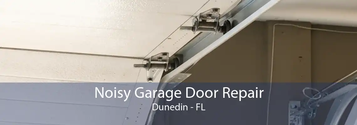 Noisy Garage Door Repair Dunedin - FL