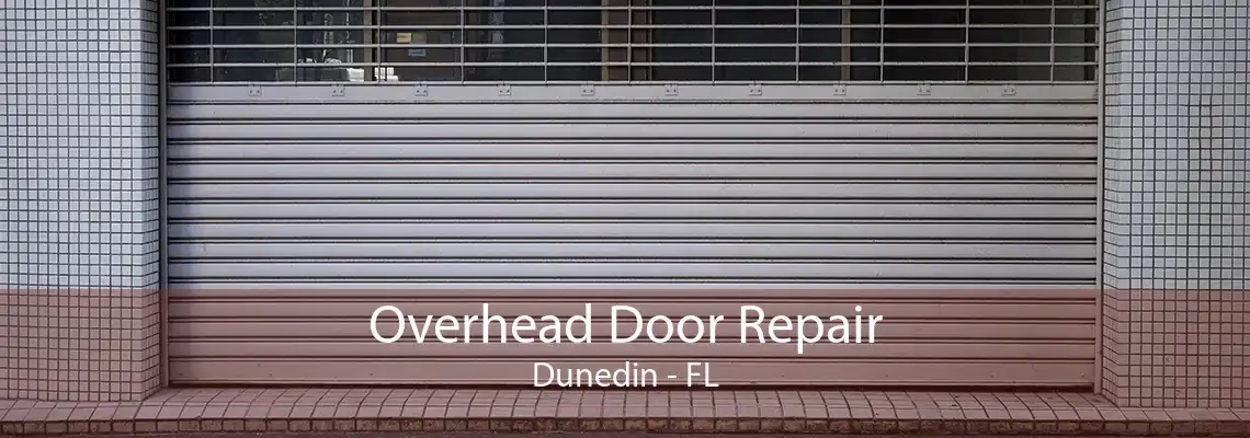 Overhead Door Repair Dunedin - FL