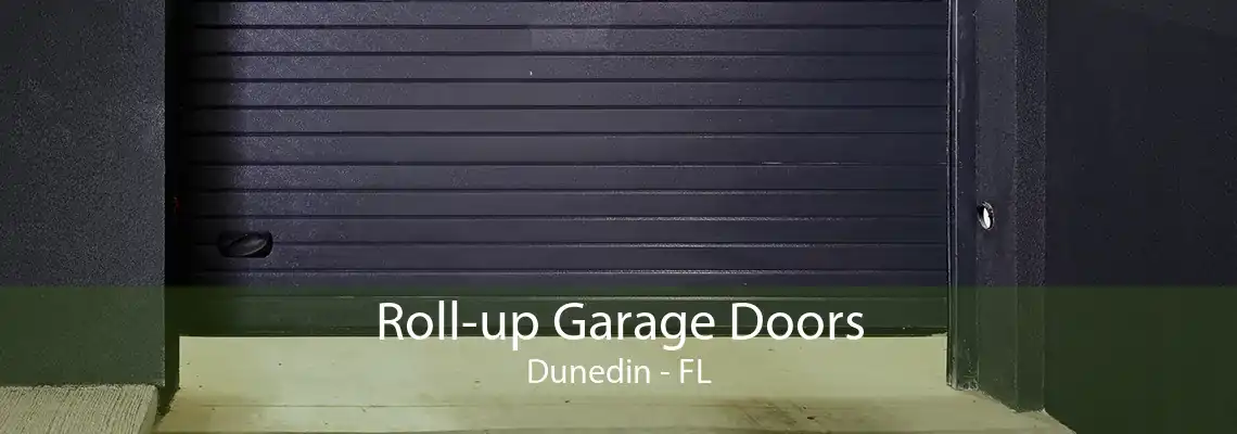 Roll-up Garage Doors Dunedin - FL