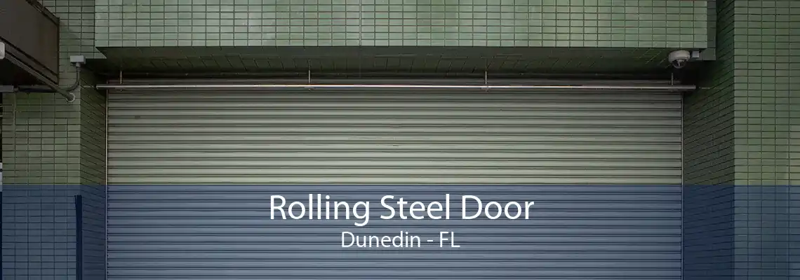 Rolling Steel Door Dunedin - FL