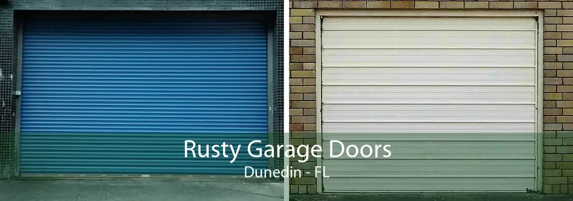 Rusty Garage Doors Dunedin - FL