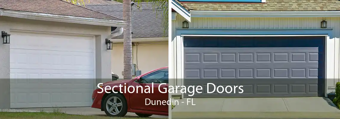 Sectional Garage Doors Dunedin - FL